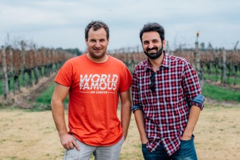 Marichal Wines